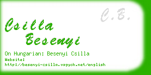 csilla besenyi business card